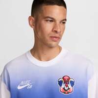 Nike SB Federation USA Long-Sleeve Skate T-Shirt (White)