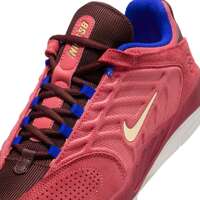 Nike SB Vertebrae (Adobe / Melon Tint / Earth / Noble Red)