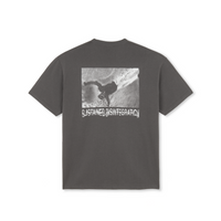 Polar Skate Co. Sustained Disintegration Tee (Graphite)