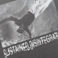 Polar Skate Co. Sustained Disintegration Tee (Graphite)