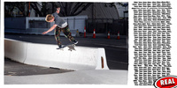 DECK REAL SKATEBOARDS BUSENITZ PMA 8,18" x 32"