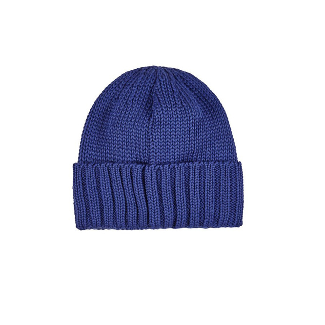Polar Skate Co. Winter Hat Patch Beanie (Blue)