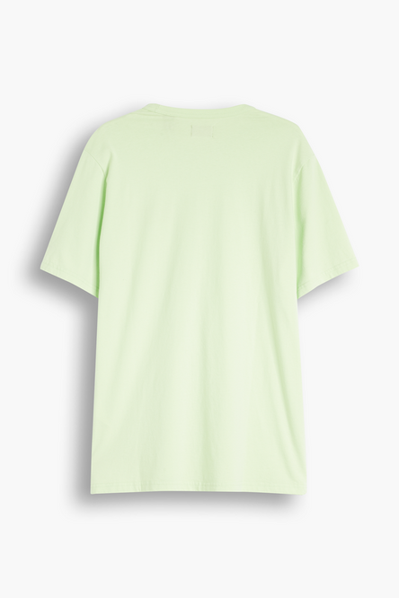 Koszulka Levi's® Skateboarding Core Batwing (Paradise Green)