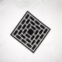 The National Skateboard Co. Halftone Logo Tee (White)