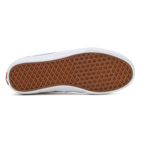 Vans Skate Rowan (Blanc De Blanc)