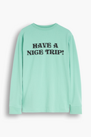 Longsleeve Levi's® Skateboarding Creme De Menthe Haus Trip (Green)