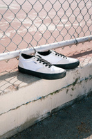 VANS Rowan Pro (White/Black)