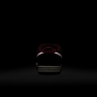 Nike SB x Riot Dunk Low Pro (Mahogany / Dark Beetroot / Team Red / Sail)