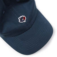 Czapka Magenta Plant Dad Hat (Teal)