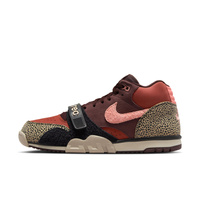 Nike SB x Arts-Rec Air Trainer 1 (Limestone / Pink Quartz / Earth / Dusty Peach)