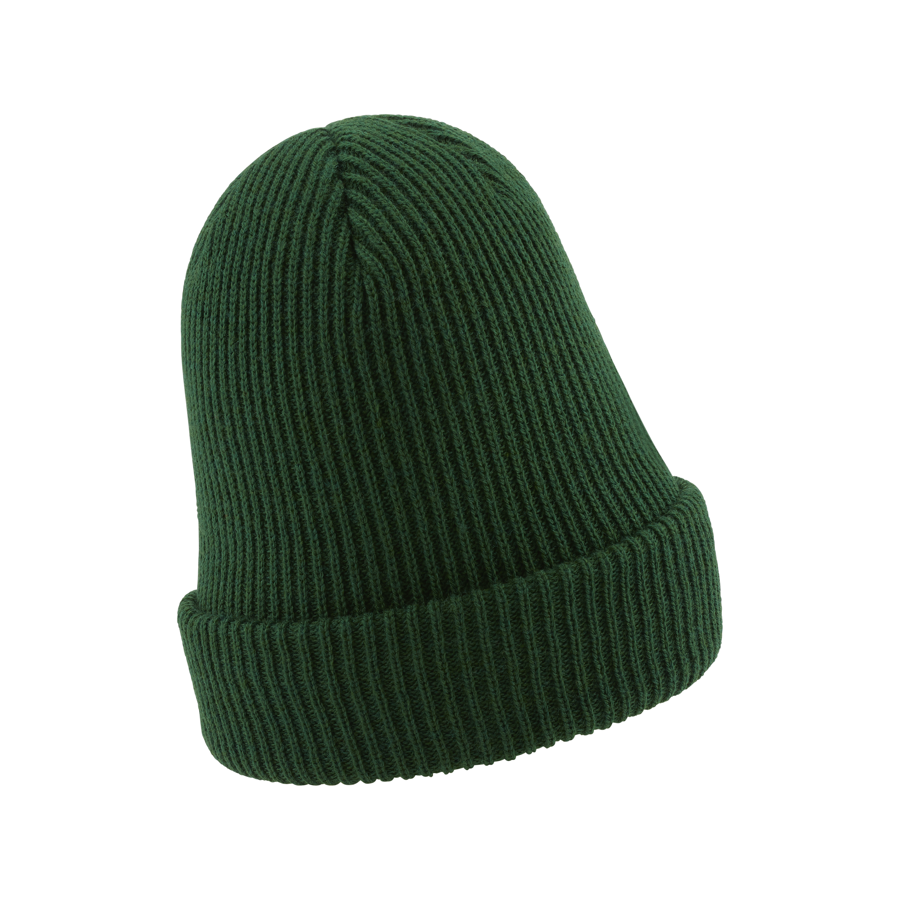 Nike sb sales fisherman beanie green