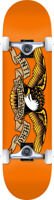 Kompletna Deskorolka Antihero Skateboards Classic Eagle MEDIUM 7,75" x 31,6"