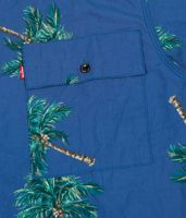 Koszula Levi's® Skateboarding Button Down Shirt (Watercolor Palm)